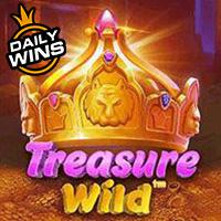 Treasure Wildâ„¢